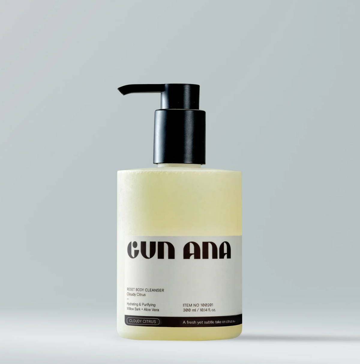 GEL NETTOYANT CLOUDY CITRUS GUN ANA